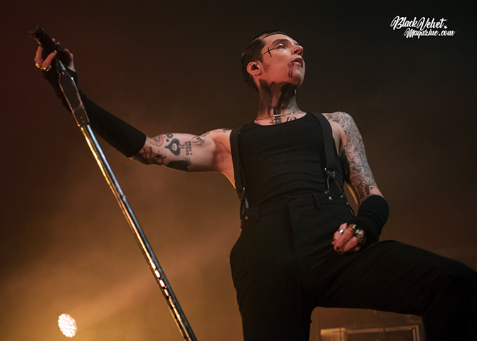 BVB