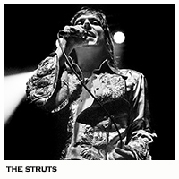 the struts